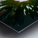 Daisy Light Centre on Darker Abstract Background Metal print