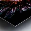 Dark Burgundy Daisy Flower on a Dark Abstract Background Metal print