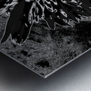 Darkly Monochrome Daisy Flower on a Dark Abstract Background Metal print
