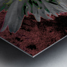 Abstract Silver and Green Distressed Daisy Flower on a Dark Abstract Background Metal print