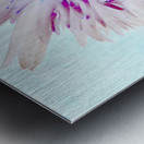 Abstract Distressed Pink Turquoise Centre Daisy Flower on an Abstract Background Metal print