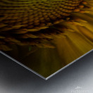 A Sunny Way Metal print
