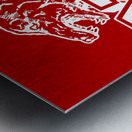 Vintage NC State Art Metal print