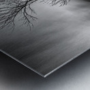 Foudroye Metal print