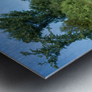 Somebody Seems Happy Metal print