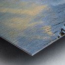 Dead Of Winter Metal print