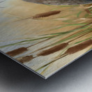 Heron in His Happy Place Impression metal