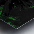  Abstract Dark Double Daisy Flower on a Dark Abstract Background Metal print