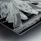  Paler Mint Distressed Daisy Flower on a Dark Abstract Background Metal print