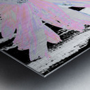  Abstract Pink Daisy Flower on an Abstract Black and White Background   Metal print