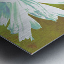 Abstract Minty Daisy Flower on an Abstract Fawn Background Metal print