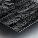 Reflecting Pine B W Metal print