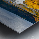 Alaskan River Gold Metal print