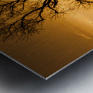 A New Dawn Metal print