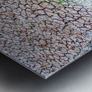 Parched Metal print