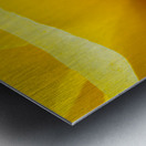 Edge of a Rose Metal print