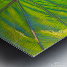 Elephant Ear Leaf Metal print