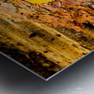 Aspen Leaves On Pine Bark Metal print