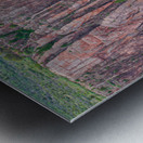 Rock Wall Forest Metal print