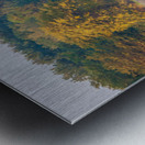 Autumn Lake Reflection Metal print