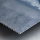 Beluga Point Metal print