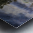 Alert Metal print