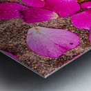 Fallen Petals Metal print