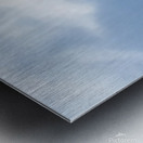 Flying In The Clouds Metal print