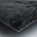 Spirit of the sky Metal print