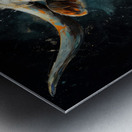 Longhorn Bull 1 Metal print