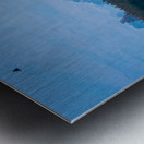 Flamingos in the Hula Valley Metal print