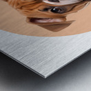 Bulldog Informative Poster Metal print