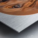 Bloodhound Informative Poster Metal print