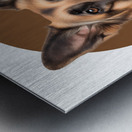 German Shepherd Informative Poster Metal print