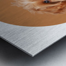 Maltipoo Informative Poster Metal print