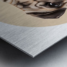 Pug Informative Poster Metal print