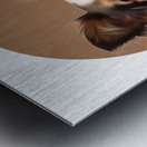 Papillon Informative Poster Metal print