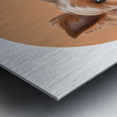 Yorkshire Terrier Informative Poster Metal print