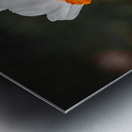 Bunchflower Daffodil - Artistic Metal print