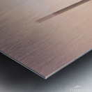 Pensacola Florida Pelican in Fog Metal print