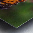  Painted Lady Butterfly - Full of Color Metal print