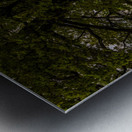 Raby Castle Elegance: An Ultra High-Resolution Journey Through Centuries Metal print