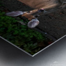 Playful Deer - Sticking Tongue Out Metal print