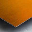 Setting Sun Meets Nandi | Silhouette | Temples of INDIA Metal print