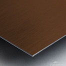 The Sun Melting into the oceans embrace | Silhouette | Sunrise  Metal print