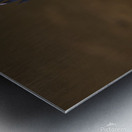 Green Heron - Flushed and Fabulous Metal print