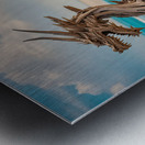 DRIFTWOOD DRAGON XII Metal print