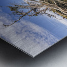 Toundra Metal print