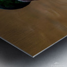 Preening Mallard Impression metal
