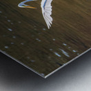Dancing Egret Metal print